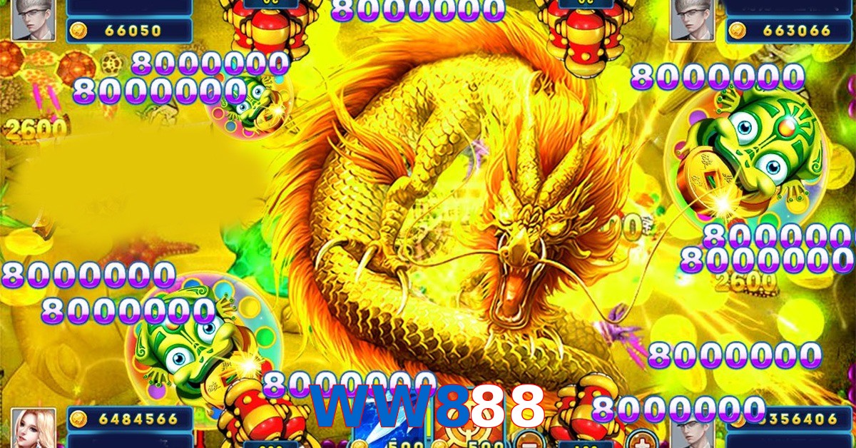 WW888