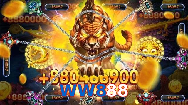 WW888
