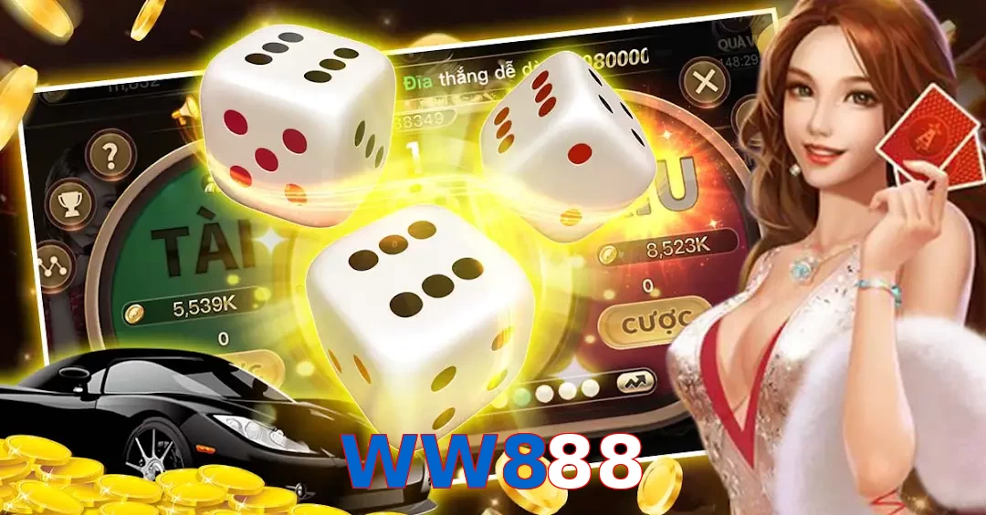 WW888